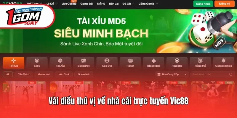 Vài điều thú vị về nhà cái trực tuyến Vic88